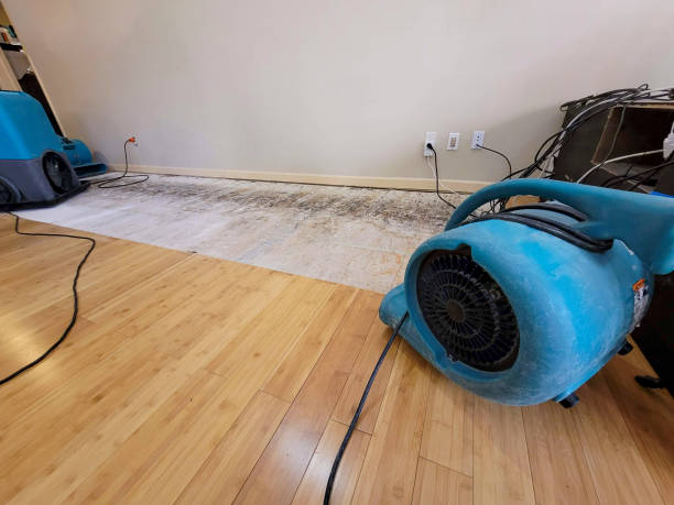 Reliable Burst Pipe Cleanup contractor in Orange, CA by San Diego Water Damage Company